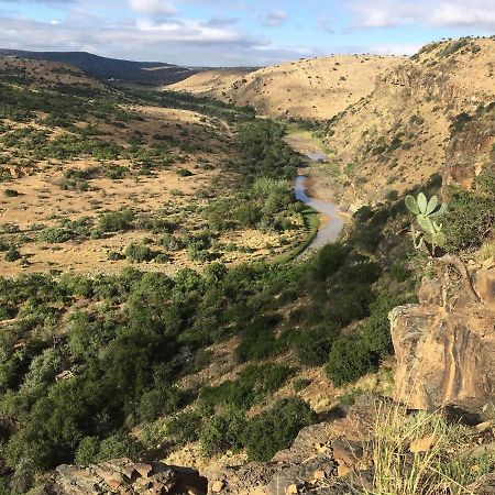 Koedoeskop Private Mountain Reserve Waterford エクステリア 写真