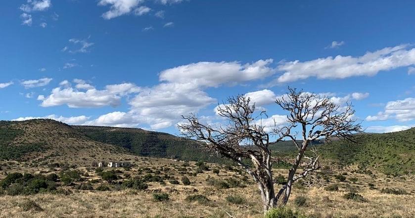 Koedoeskop Private Mountain Reserve Waterford エクステリア 写真